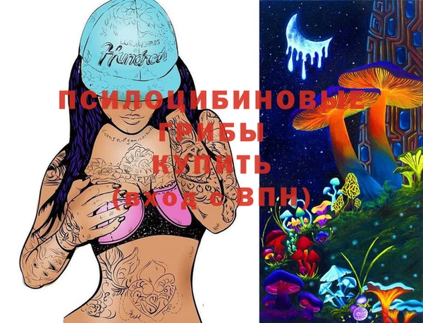 СК Алексеевка