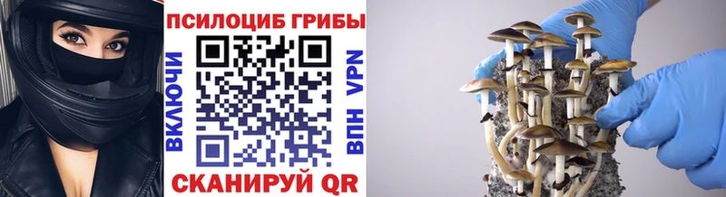 Галлюциногенные грибы GOLDEN TEACHER  Курск 