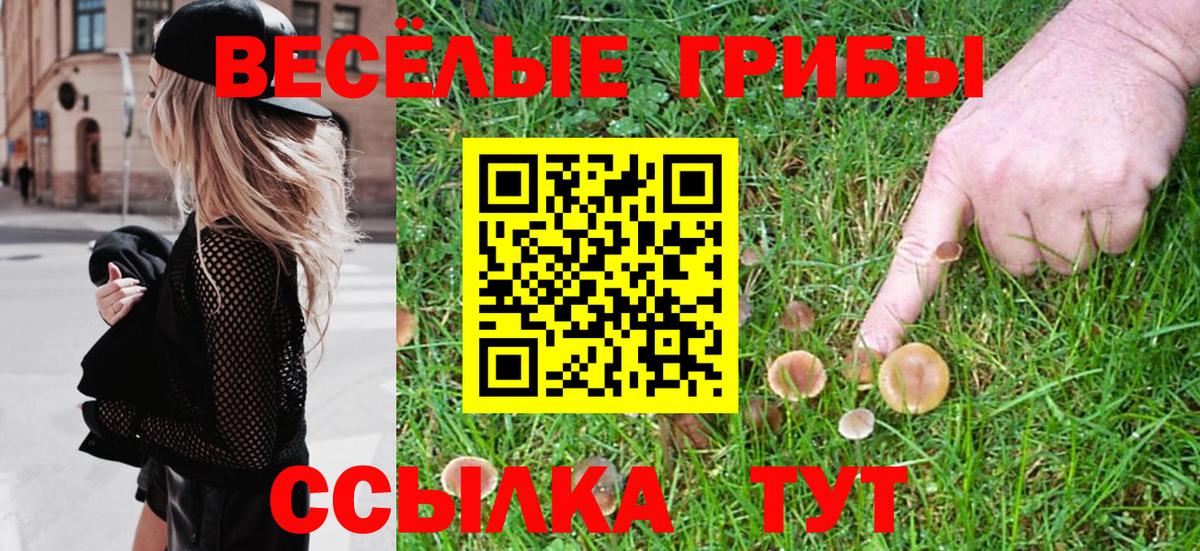Псилоцибиновые грибы GOLDEN TEACHER  Псилоцибиновые грибы GOLDEN TEACHER  Курск  Вход с VPN 
